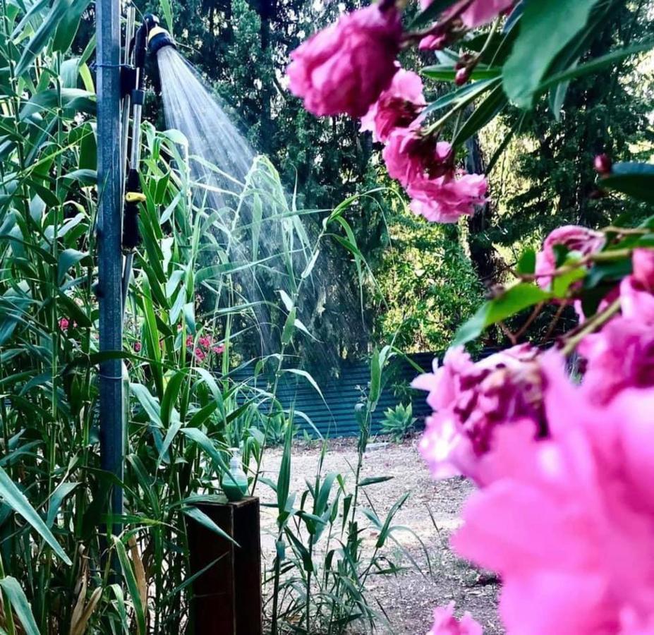 Casa Rural Con Piscina Viajar Con Mascota Gaucín Εξωτερικό φωτογραφία