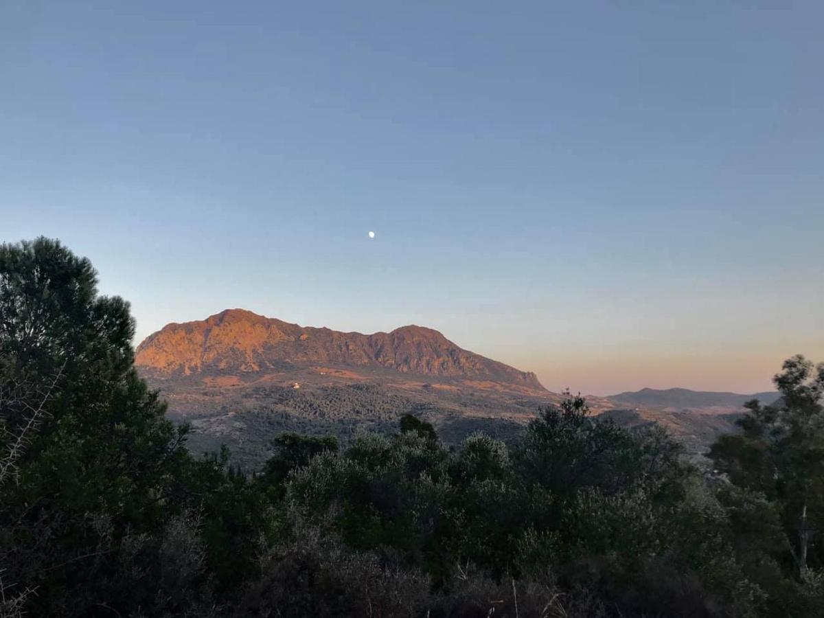 Casa Rural Con Piscina Viajar Con Mascota Gaucín Εξωτερικό φωτογραφία