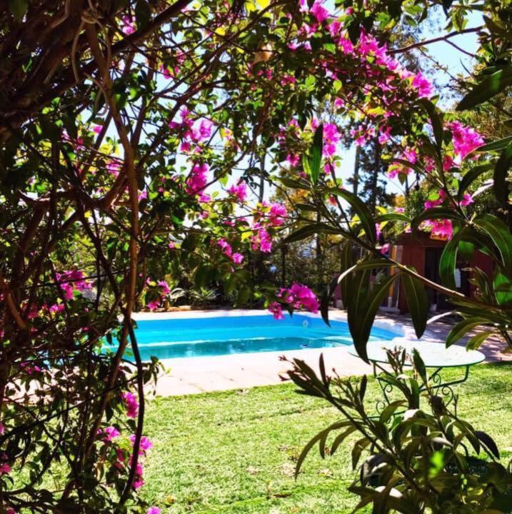 Casa Rural Con Piscina Viajar Con Mascota Gaucín Εξωτερικό φωτογραφία