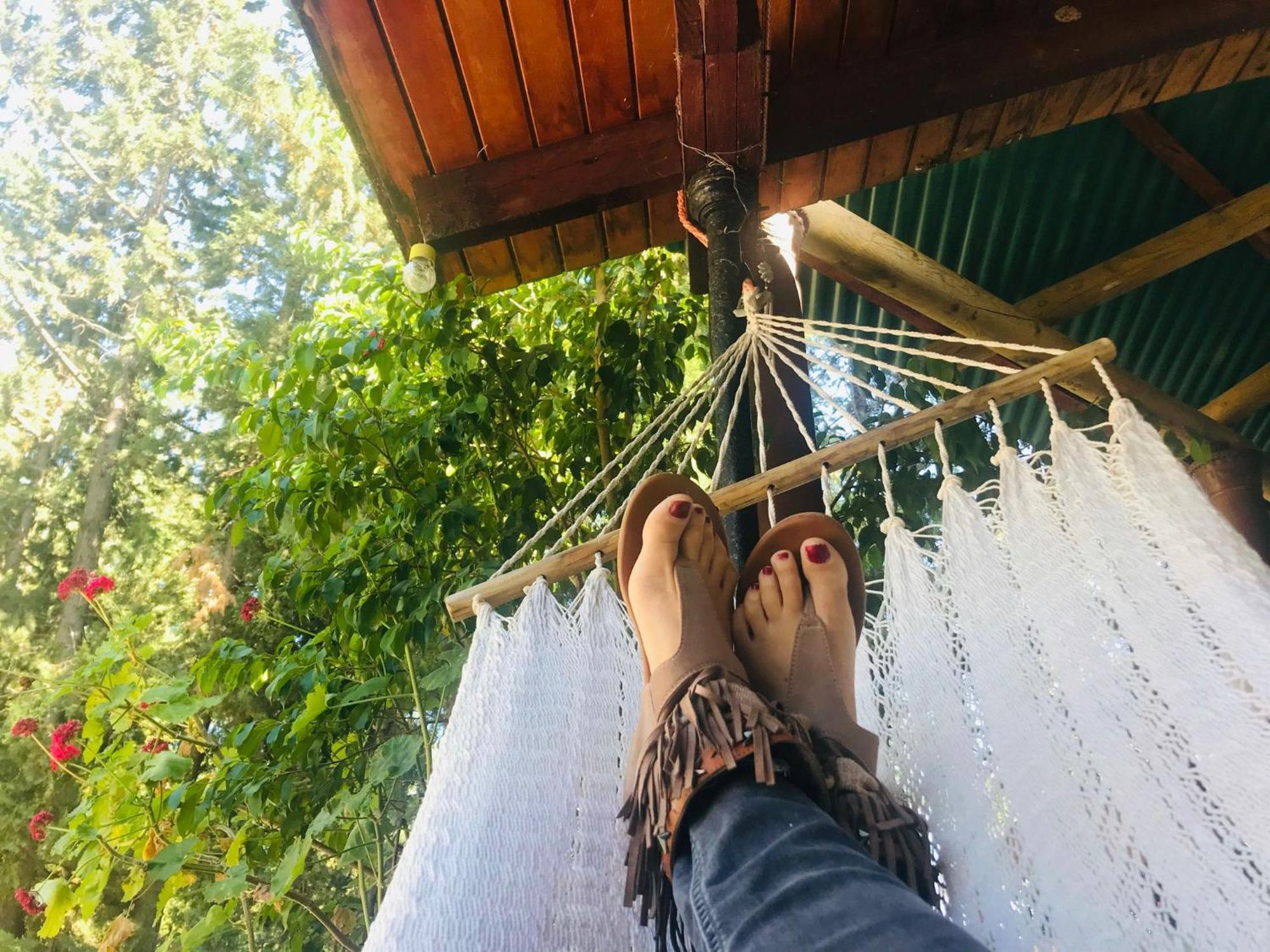 Casa Rural Con Piscina Viajar Con Mascota Gaucín Εξωτερικό φωτογραφία